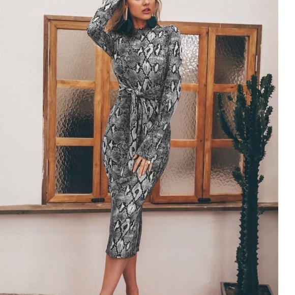 Snake Print Long Sleeve Tie Front Dress - Picture 3 of 4